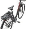 Telefunken RC657 E-Bike Cityrad, 250W Frontmotor, 7-Gang Nabenschaltung, 536,5 Wh Akku