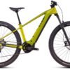 38-1.jpg Cube Reaction Hybrid Race 800 lizard