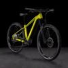 38A.jpg Cube Reaction Hybrid Race 800 lizard