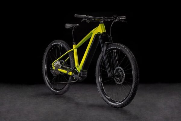 38A.jpg Cube Reaction Hybrid Race 800 lizard