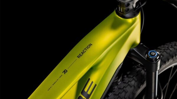 38F.jpg Cube Reaction Hybrid Race 800 lizard