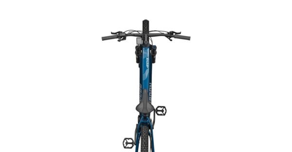 Radon JEALOUS HYBRID 9.0 750